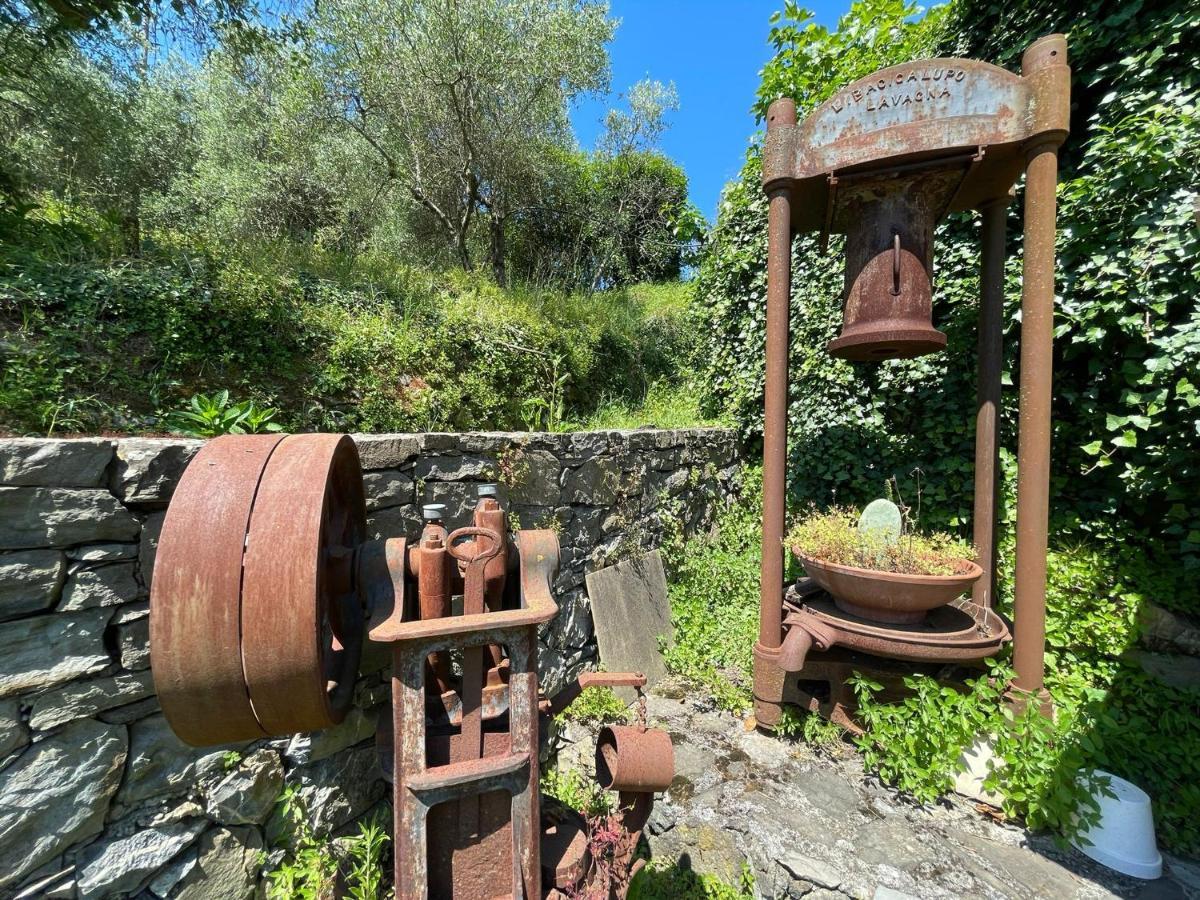 Il Frantoio Di Luna - Levanto, 5 Terre Luaran gambar